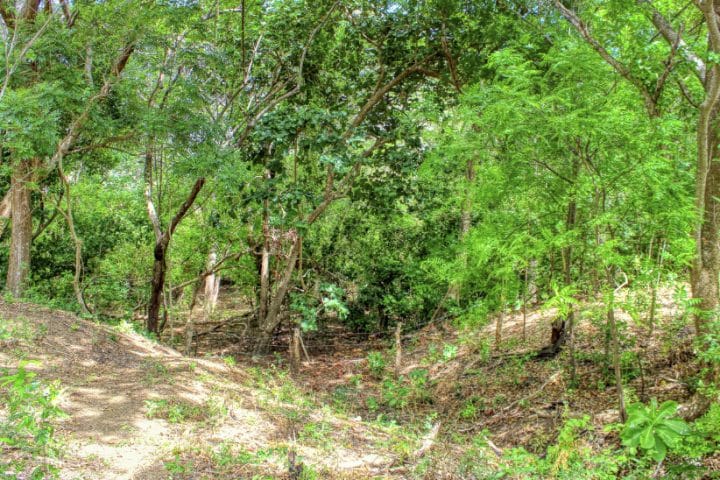 Hiking trails have been cut around the property.