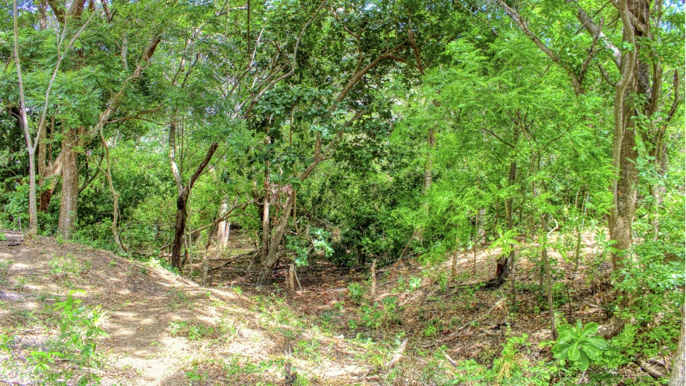 Hiking trails have been cut around the property.
