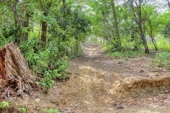 Hiking trails have been cut around the property.