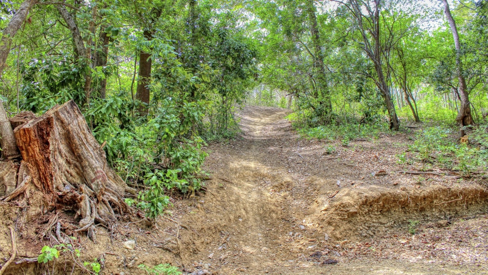 Hiking trails have been cut around the property.
