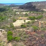 This multi-acre lot near Escamequita is the perfect mix of space and wild.