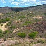 The multi-acre lot near Escamequita is the perfect place to build your dream project.