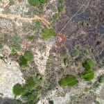 This multi-acre lot near Escamequita is the perfect mix of space and wild.