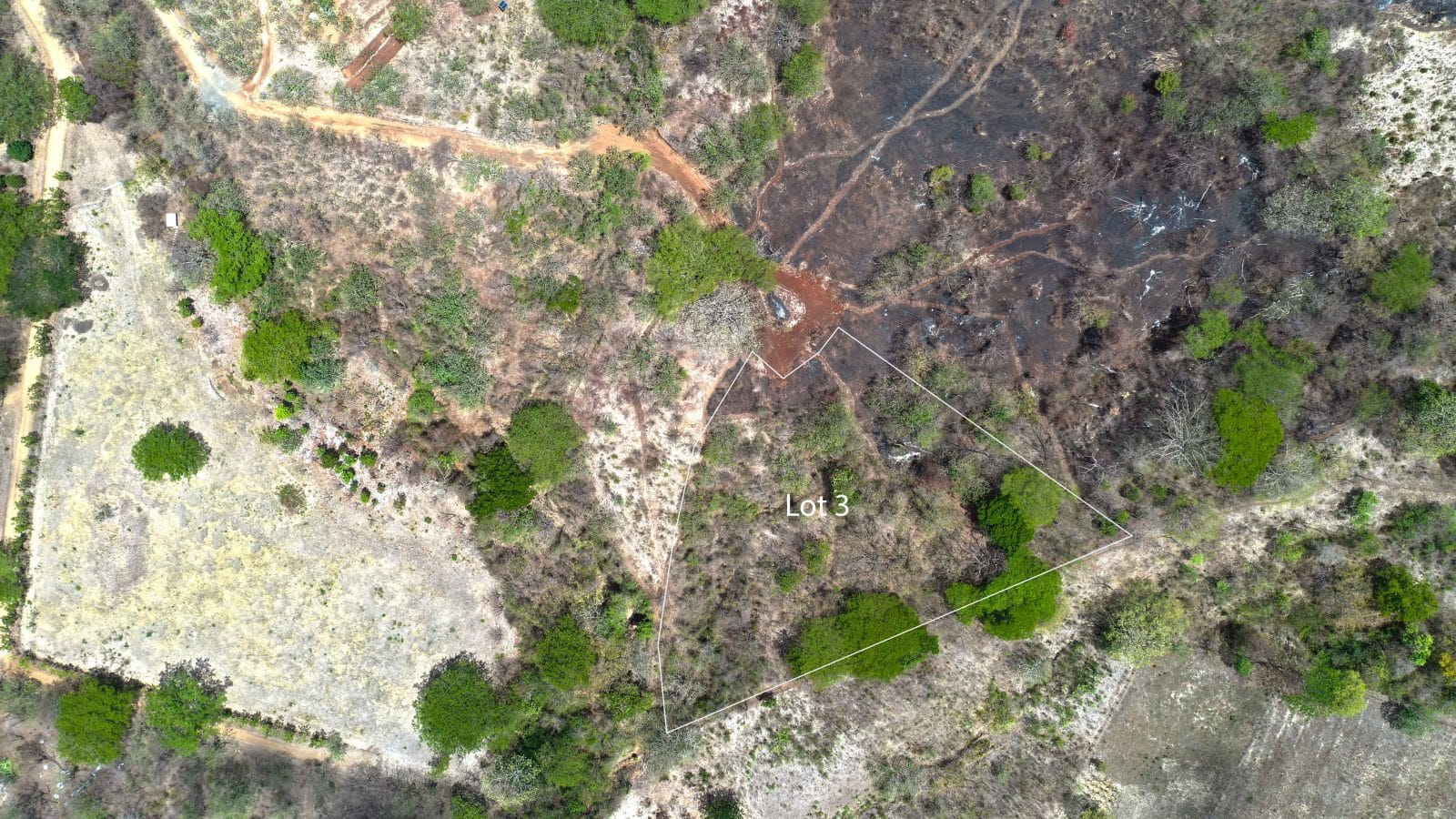 This multi-acre lot near Escamequita is the perfect mix of space and wild.
