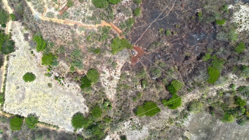 This multi-acre lot near Escamequita is the perfect mix of space and wild.