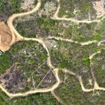 This lot in Vista Del Mar is over 1/3 an acre.