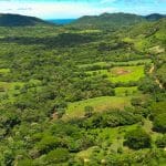 Lush Farm Near Town