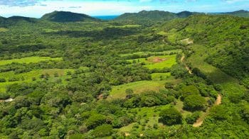 Lush Farm Near Town