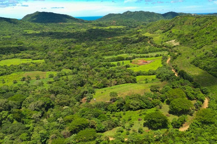 Lush Farm Near Town