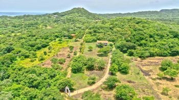 Acreage Near the Beach