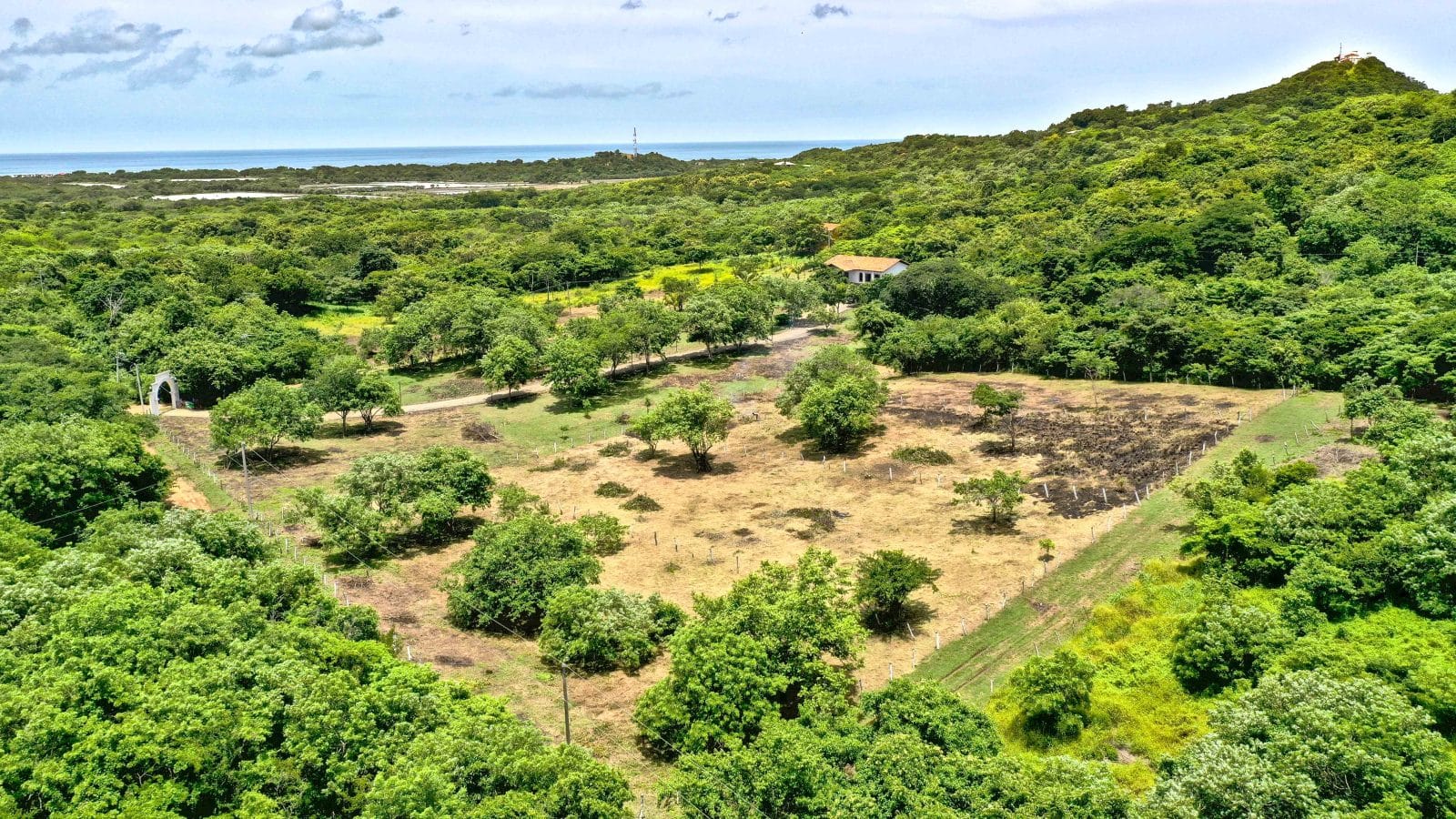 Ranch Anthony provides Acreage Near the Beach.