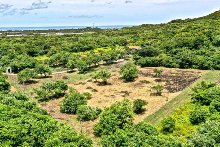 Ranch Anthony provides Acreage Near the Beach.