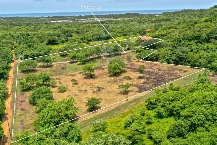 Ranch Anthony provides Acreage Near the Beach.