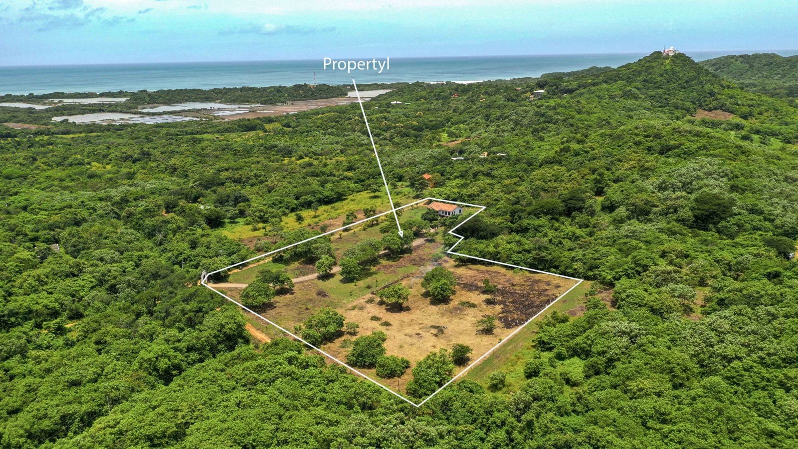 Ranch Anthony provides Acreage Near the Beach.