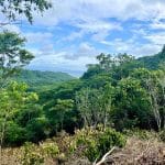 This wooded acreage in Big Sky Ranch is a one-of-a-kind lot.
