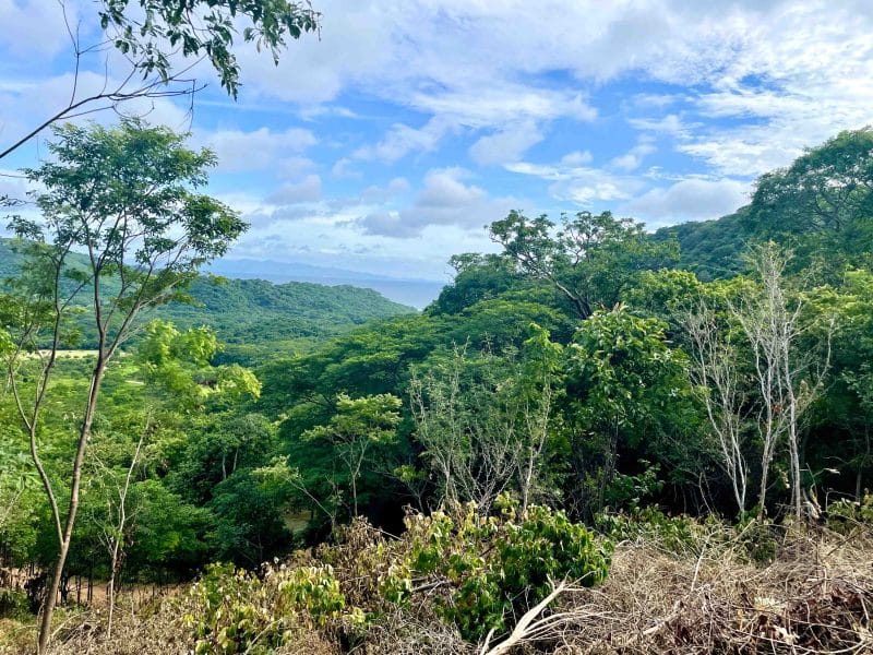 This wooded acreage in Big Sky Ranch is a one-of-a-kind lot.