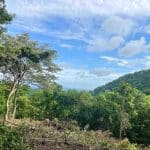 Ocean views can be seen from this wooded acreage in Big Sky Ranch