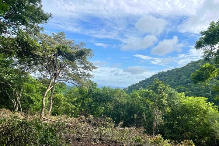 Ocean views can be seen from this wooded acreage in Big Sky Ranch