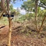 This wooded acreage in Big Sky Ranch is a one-of-a-kind lot.