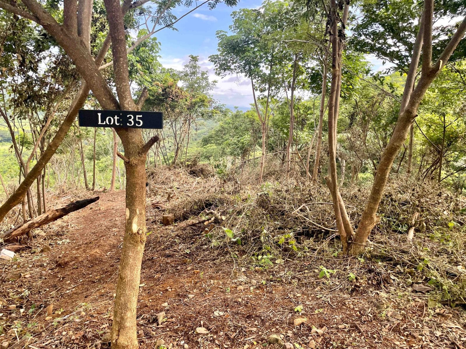 This wooded acreage in Big Sky Ranch is a one-of-a-kind lot.