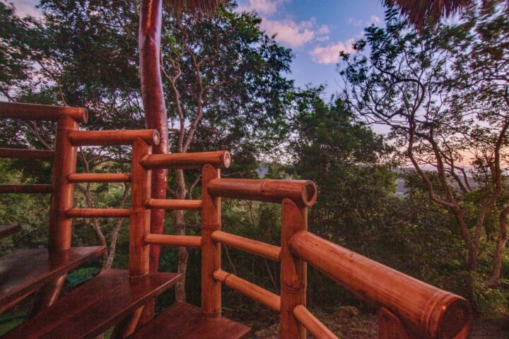 Luxury-Off-Grid Jungle Oasis