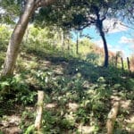 Acre Plus Lot Near Playa Remanso