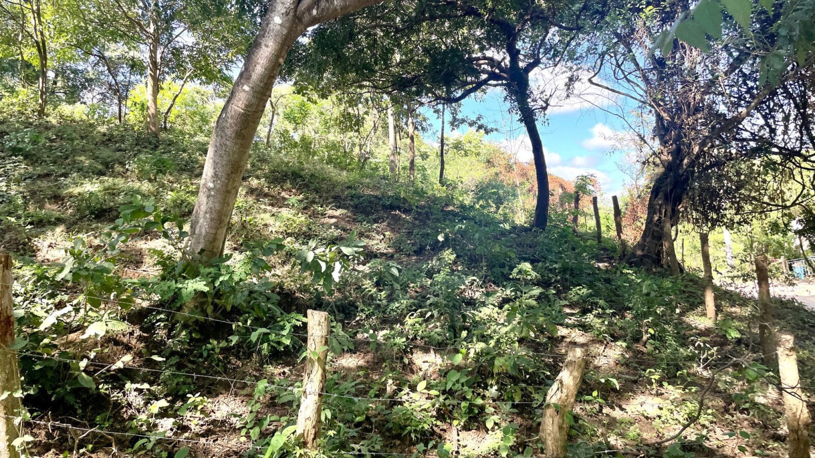 Acre Plus Lot Near Playa Remanso