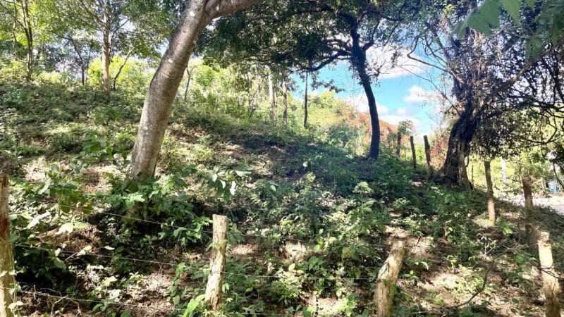 Acre Plus Lot Near Playa Remanso