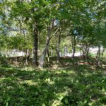 Ocean View Lot in Costa Dulce