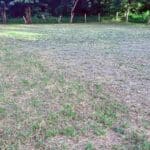 Budget Friendly lot in Escamequita