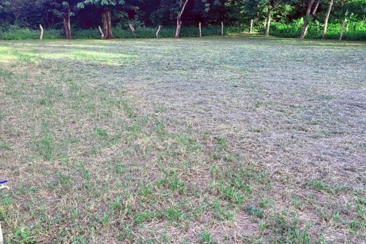 Budget Friendly lot in Escamequita