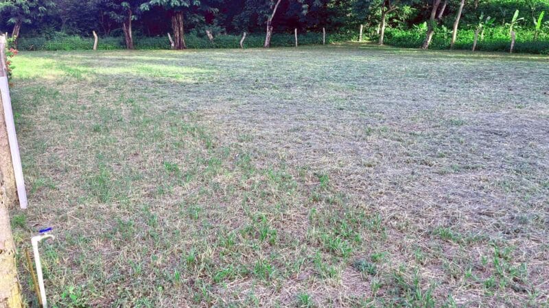 Budget Friendly lot in Escamequita