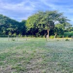 Beautiful open land to build