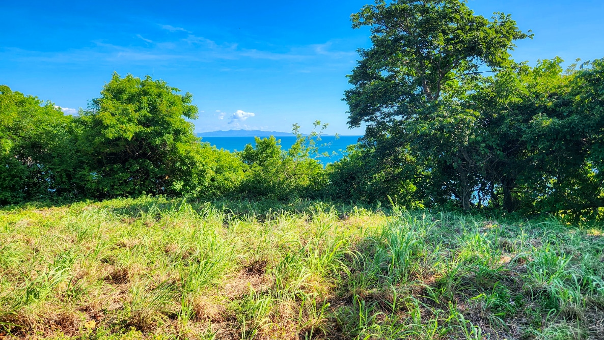 Unobstructed Views of the Pacific Ocean
