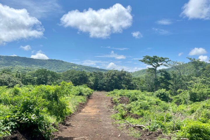 Roads in Valle de Samsara