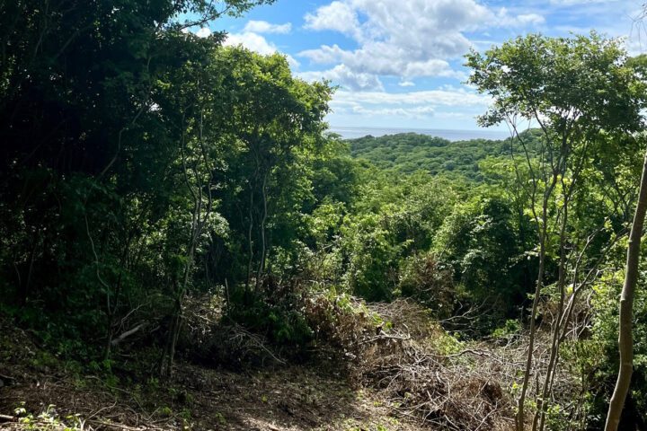 Driveway to lot with Ocean View