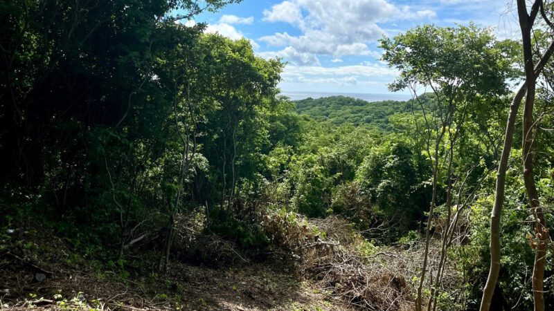 Driveway to lot with Ocean View