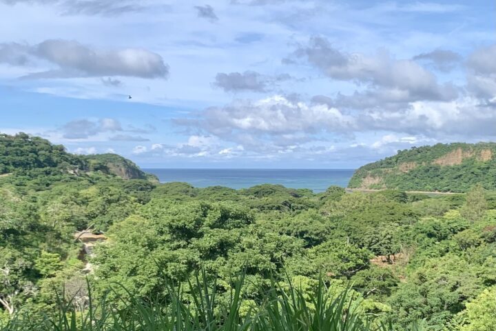 View of Nacascolo Bay