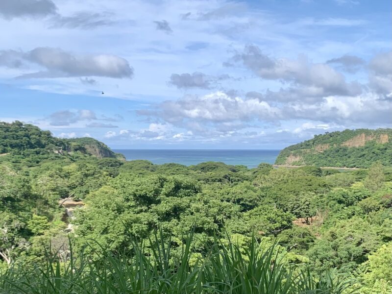 View of Nacascolo Bay