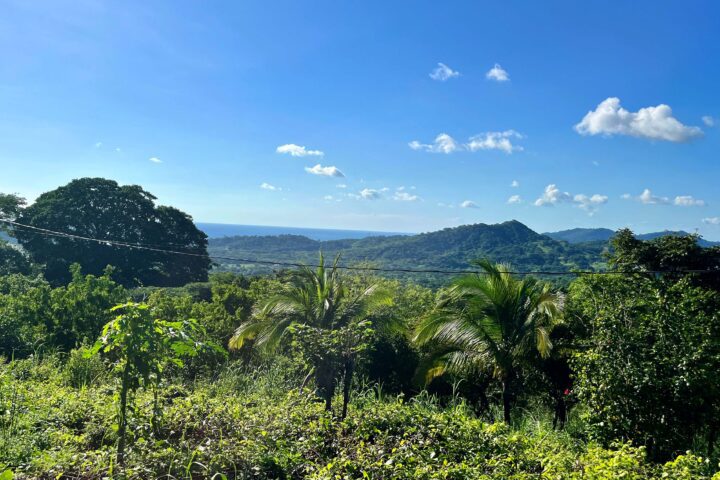 Ocean view lot near tree casa