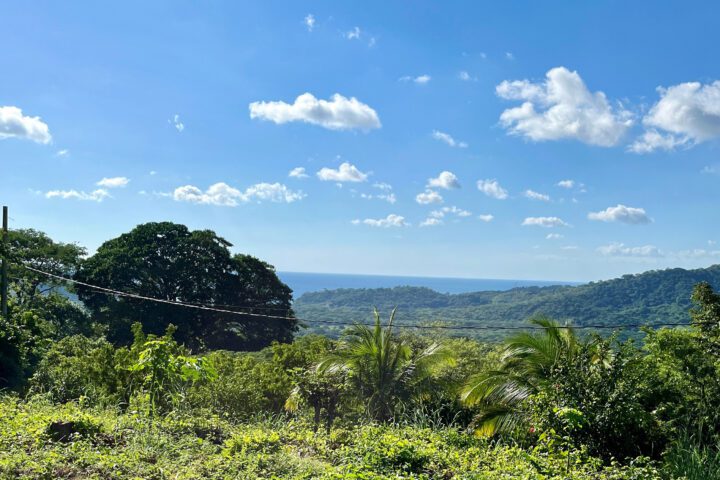 Ocean view lot near tree casa2