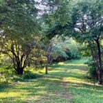 The road to Lot 10