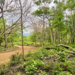 Sizeable Ocean-View Lot