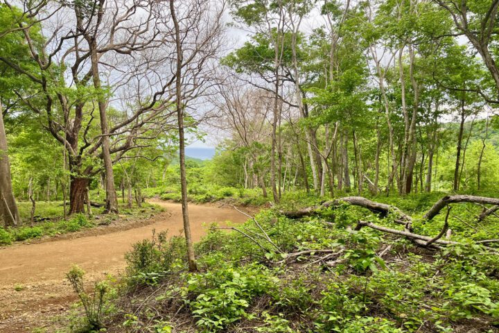 Sizeable Ocean-View Lot