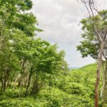 Sizeable Ocean-View Lot