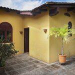 Back of the house and plants