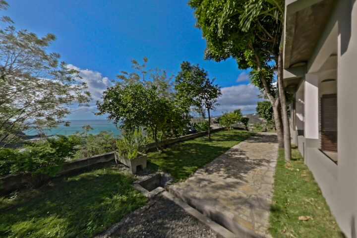 Backyard photo