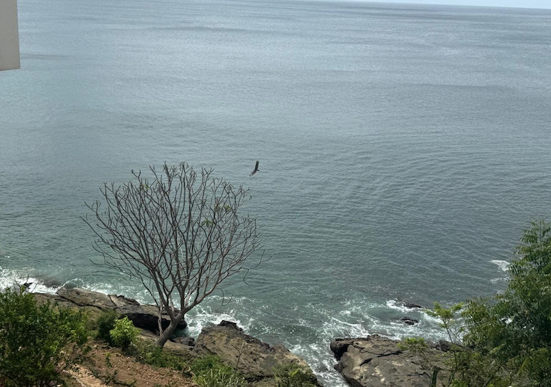 Ocean view
