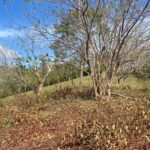 Spacious Lot With No restrictions