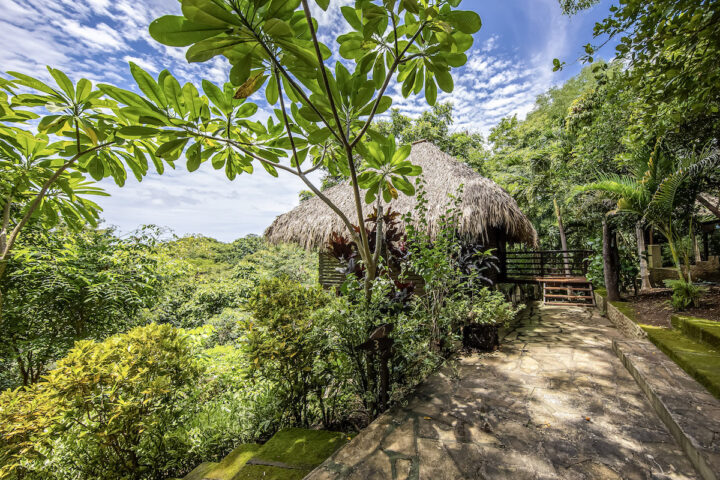 Bungalow and landscaping view